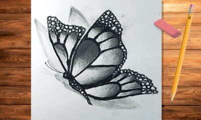 Drawing:5dlmdowxula= Butterfly