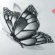 Drawing:5dlmdowxula= Butterfly